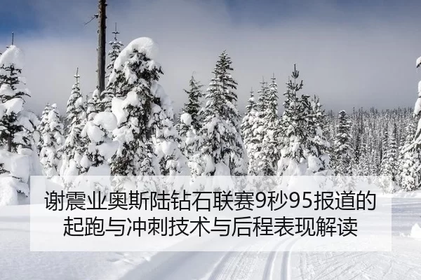 谢震业奥斯陆钻石联赛9秒95报道的起跑与冲刺技术与后程表现解读